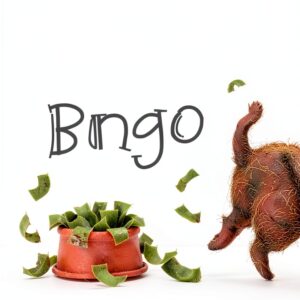 Penny Power Childrens Money Book Series Financial Literacy-0