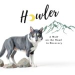 Howlers Road Publishing Childrens eBook Drug Education-0