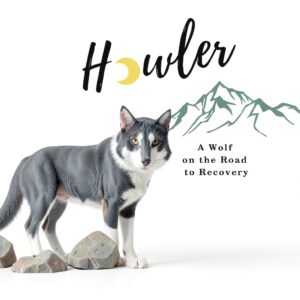 Howlers Road Publishing Childrens eBook Drug Education-0